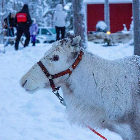 Skyfire Village Igloos ロヴァニエミ エクステリア 写真