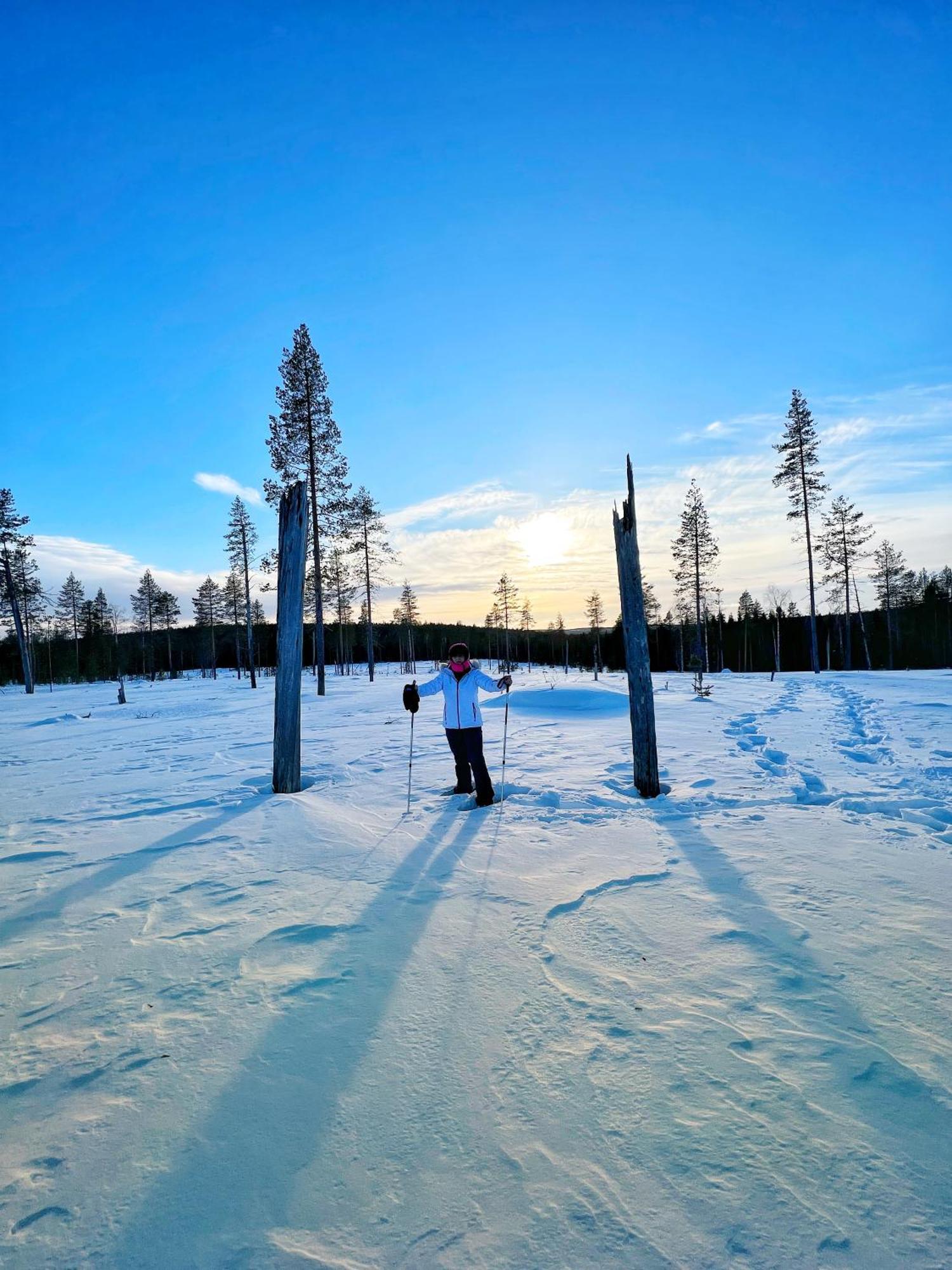 Skyfire Village Igloos ロヴァニエミ エクステリア 写真