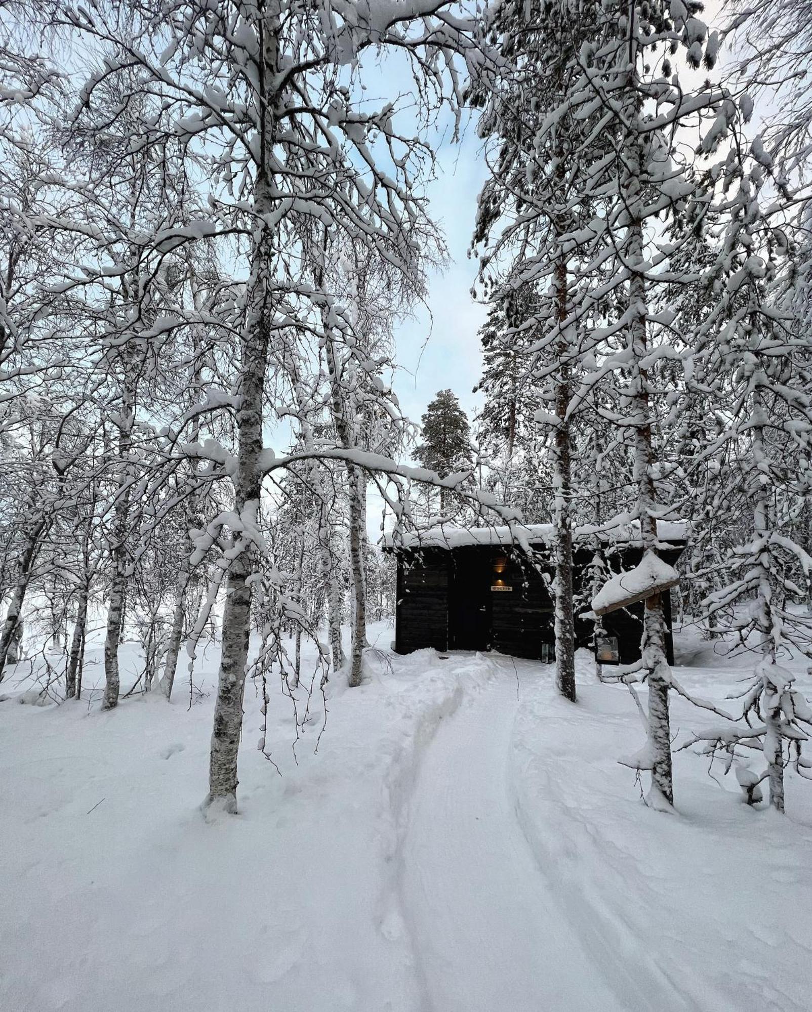 Skyfire Village Igloos ロヴァニエミ エクステリア 写真